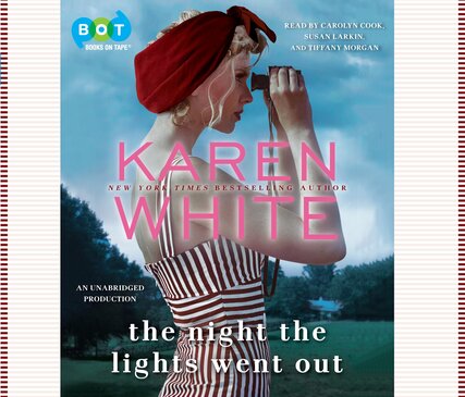 Thumbnail for The Night the Lights Went Out [electronic resource]